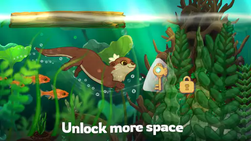 Pondlife — Fish, Frogs & More! 6