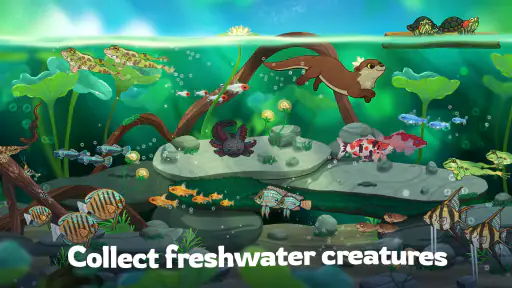 Pondlife — Fish, Frogs & More! 8