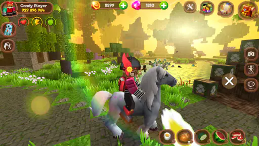 Pony World Craft 8