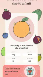 Preglife - Pregnancy Tracker 4