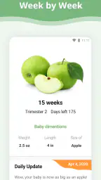 Pregnancy App 1