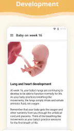 Pregnancy App 2