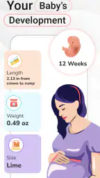Pregnancy Calculator: Due Date 3