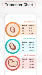 Pregnancy Calculator: Due Date 4