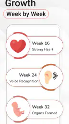 Pregnancy Calculator: Due Date 5