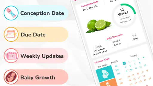Pregnancy Calculator: Due Date 7