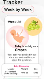 Pregnancy Calculator: Due Date 8