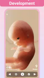 Pregnancy + | Tracker App 5
