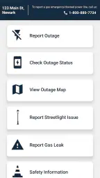 PSEG 4