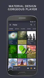 Pulsar Music Player Pro 1