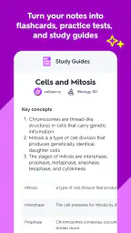 Quizlet: Study with Flashcards 2