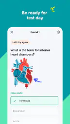 Quizlet: Study with Flashcards 3