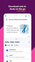Quizlet: Study with Flashcards 6