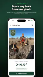 rackline.ai - AI Deer Scoring 1