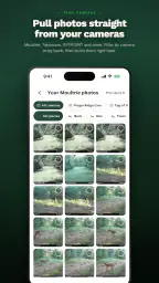 rackline.ai - AI Deer Scoring 2
