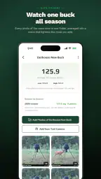 rackline.ai - AI Deer Scoring 3