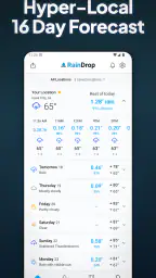RainDrop: Virtual Rain Gauge 5