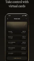Robinhood Banking 3