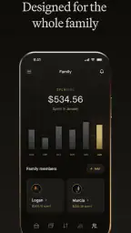 Robinhood Banking 4