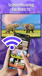 Roku Remote Control & TV Cast 3