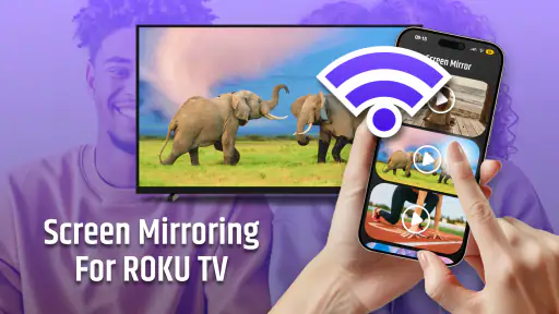 Roku Remote Control & TV Cast 8