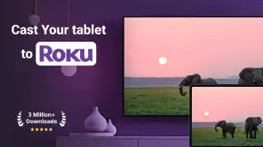 Roku Screen Mirror & Cast TV screenshot