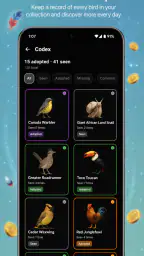 Roost Social 3