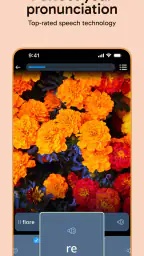 Rosetta Stone Sapphire 5