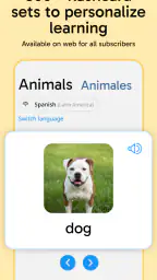 Rosetta Stone Sapphire 7