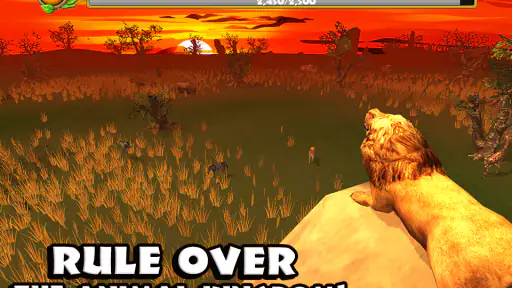 Safari Simulator: Lion 1