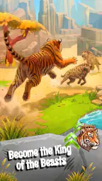 Safari Universe! 6