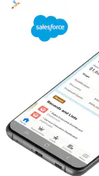 Salesforce 1