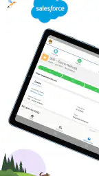Salesforce 6