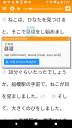 Satori Reader 5