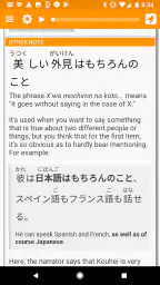 Satori Reader 6