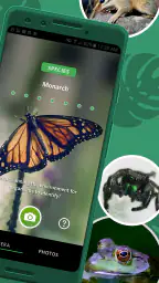 Seek by iNaturalist 2