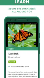 Seek by iNaturalist 3