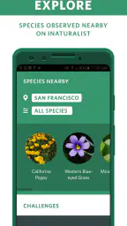 Seek by iNaturalist 5