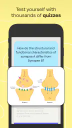 Sharpen – College Exam Prep 2