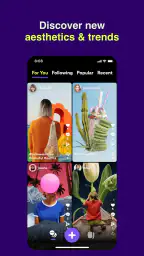 Shuffles by Pinterest 6