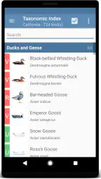 Sibley Birds 2nd Edition 2