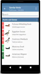 Sibley Birds 2nd Edition 4