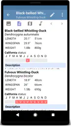 Sibley Birds 2nd Edition 5