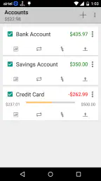 Simple Checkbook Ledger 1
