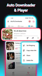 SnapTik - TT Video Downloader 6