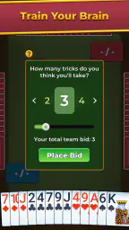 Spades For Seniors: Card Game 2
