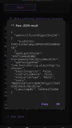SPIC - Play Integrity Checker 2