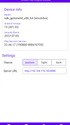 SPIC - Play Integrity Checker 7