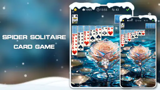 Spider Solitaire 7