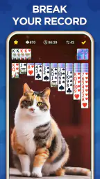 Spider Solitaire Classic 5